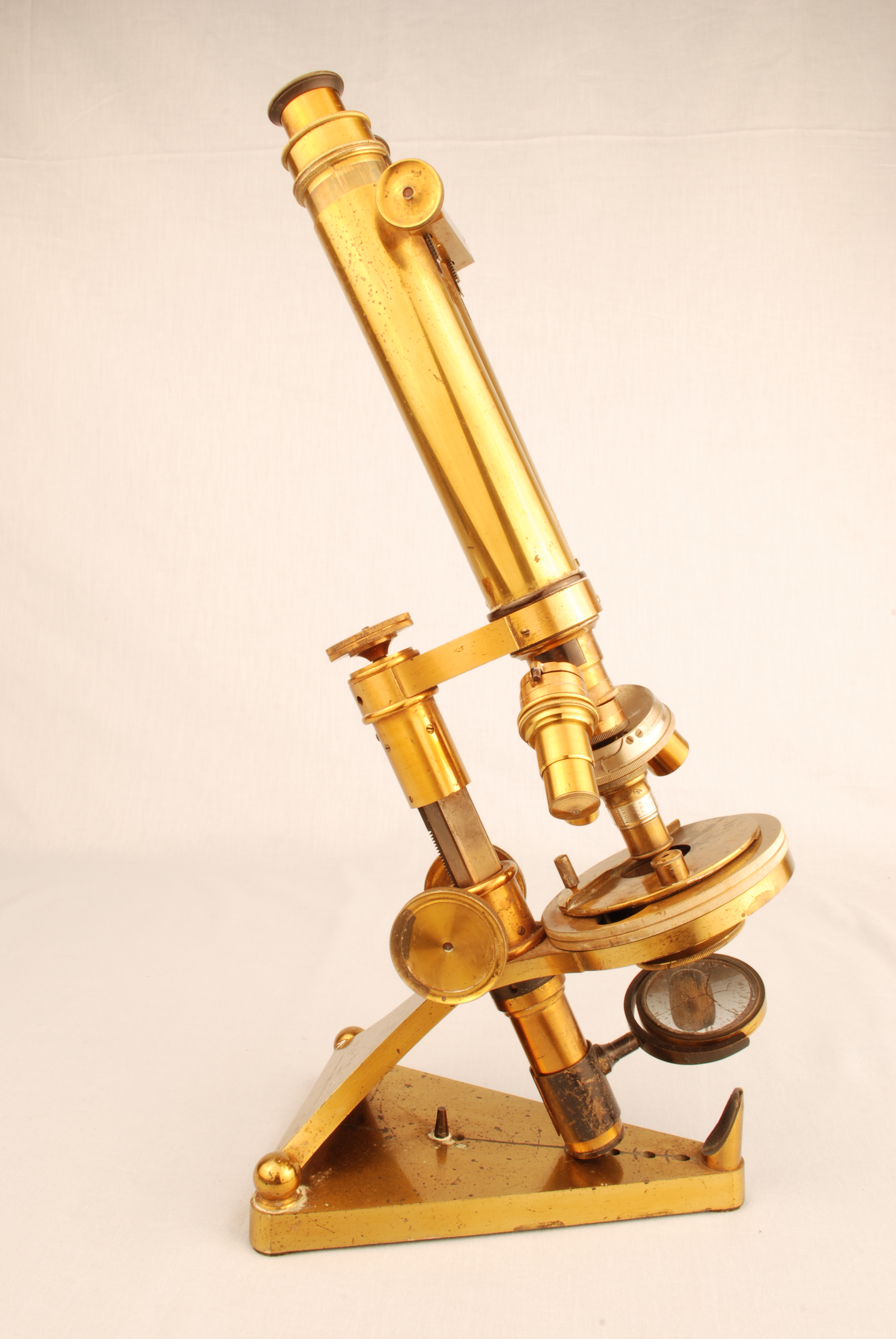 whenham-stereo-microscope